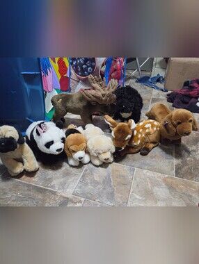 Ganz Webkinz Signature Lot 8 Signatures no codes